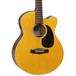 Tanglewood TN5 Nashville Super Folk Electro-Acoustic, Amber Gloss