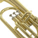 tenor horn