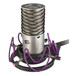 Aston Microphones Rycote Shockmount