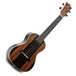 Snail UKC-483EQ Concert Electro Acoustic Ukulele, Ebony