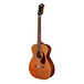 Guild M-20E Side