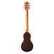 Washburn RO10RWC