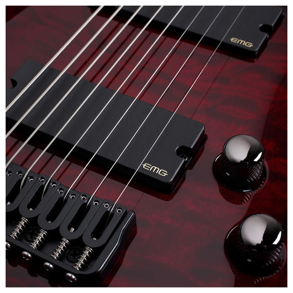 Schecter Hellraiser C-8