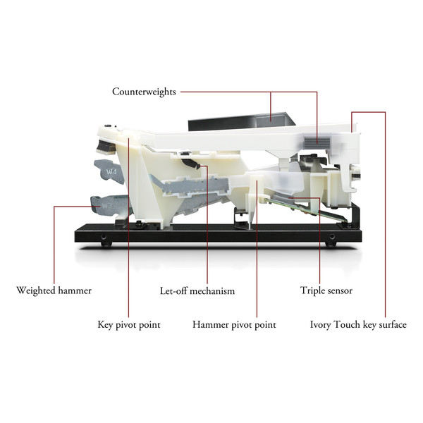 Kawai Hammer Action Diagram