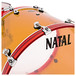 Natal Arcadia 4 Piece Acrylic Shell Pack, Jelly Bean 1