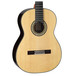 Takamine H8SS Front Close