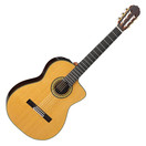 Takamine EH5C, Natural