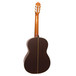 Takamine H5 Back