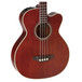 Takamine PB5-ANS Body Close