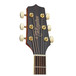 Takamine GN51 Headstock