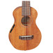 Takamine EGU-S1 Body Close
