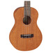 Takamine GU-T1 Body Close