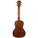 Kala KA-C Mahogany Concert Ukulele, Back