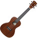 Kala KA-C Mahogany Concert
