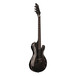 Schecter Chris Poland Poltergeist FR Electric Guitar, Black