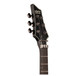 Schecter Chris Poland Poltergeist FR Electric Guitar, See-Thru Black