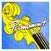 Pirastro Permanent Orchestra Double Bass G String