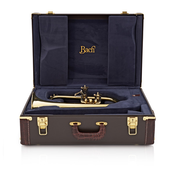 OFFLINE Bach Stradivarius Flugel Horn, 183, Clear Lacquer at