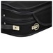 Negri Venezia Violin Case in Black and Beige