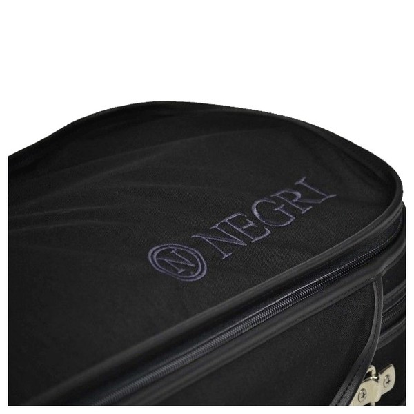 Negri Venezia Violin Case in Black and Green