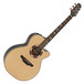 Takamine Pro Series TSF48C Santa Fe NEX Electro Acoustic Guitar