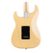 Fender Deluxe Back Close