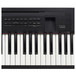 Casio Privia PX-350 Digital Piano