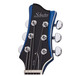 Schecter Ultra GT Special Edition