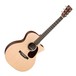 Martin GPCX1RAE Electro Acoustic Guitar, Natural Front View