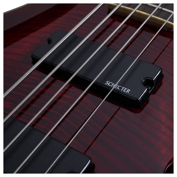 Schecter Omen Extreme-5 Bass Guitar
