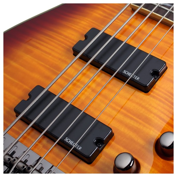 Schecter Omen Extreme-5 Bass Guitar
