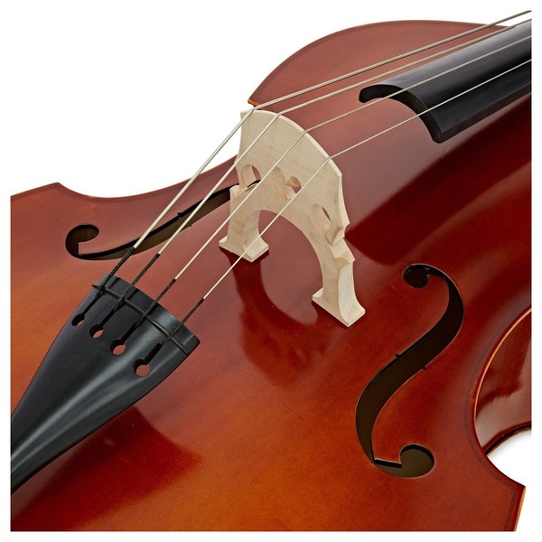 Eastman 80 Double Bass Outfit 1/10 Size, Bridge