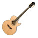 Epiphone PR-5E Electro Acoustic, Natural