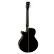 Tanglewood Evolution TSF Folk Cutaway, Black