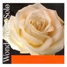 Pirastro Wondertone Solo Violin A String, Ball End