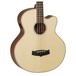 Tanglewood TAB1 Cutaway Acoustic