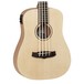 Tanglewood TWRBE Traveler Electro-Acoustic