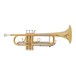 Jupiter JTR-1100 Trumpet Clear Lacquer