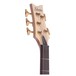 Schecter Stiletto Custom 5 String Bass Guitar
