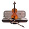Hidersine Vivente Viola Outfit, 15.5''