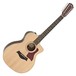 Taylor 254ce-DLX 12-String Electro Acoustic Guitar