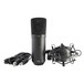 Tie Studio USB Condenser Mic - Microphone With Spider And Cable