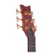 Schecter Stiletto Studio 6 String Bass Guitar