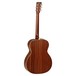 Tanglewood TW170 SS Premier Acoustic Guitar, Natural