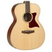 Tanglewood TW170 SS Premier Acoustic Guitar