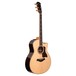 Taylor 816ce Electro Acoustic Guitar