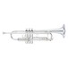 Yamaha YTR8335LA Xeno Bb Custom Pro Trumpet, Silver Plated