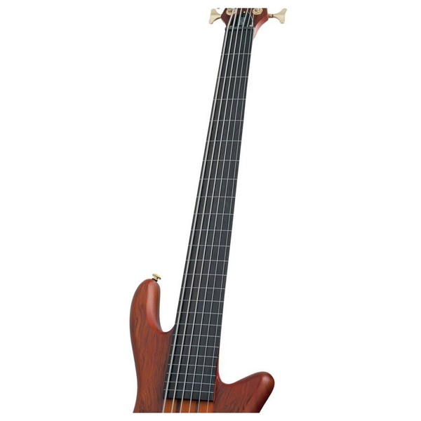 Schecter Stiletto Studio-6 Fretless Bass