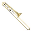 Yamaha YSL-882 Xeno Custom Bb/F Trombone, Yellow Brass Bell, Closed Wrap