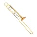 Yamaha YSL-882G Xeno Custom Series Trombone, Large Bore